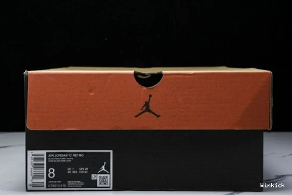 Grey Air CT8013-010 12 Black Wolf Jordan 0814